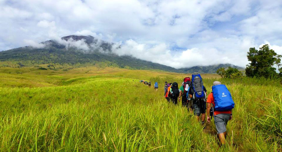 Savanna Grass Sembalun Lawang altitude 1500m – Trekking Rinjani